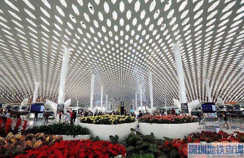 深圳计划新建3个机场在那里？港媒忧会让周边更多机场利用不足