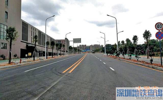 深圳龙华区平安路建成通车 直上梅观高速可省15分钟