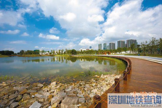 深圳目前8个湿地公园都有哪些？未来将超13个