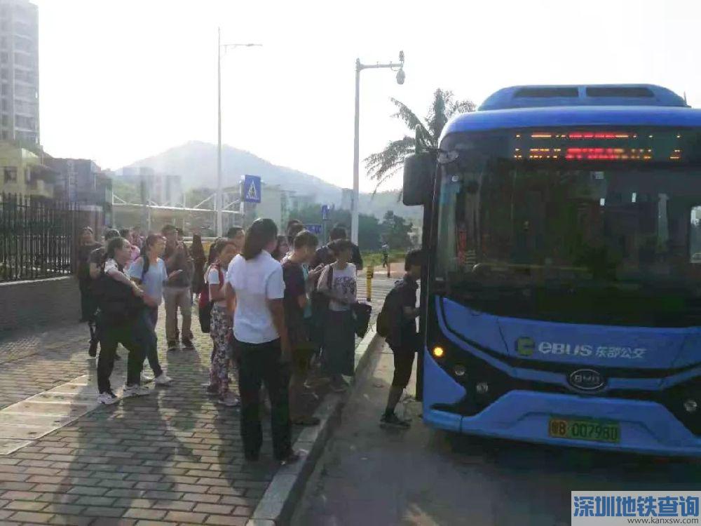 深圳大鹏微巴公交线路B983首末班车运营时间、票价、停靠站点一览